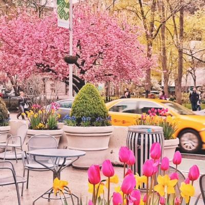 spring nyc in bloom