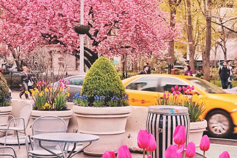 spring nyc in bloom