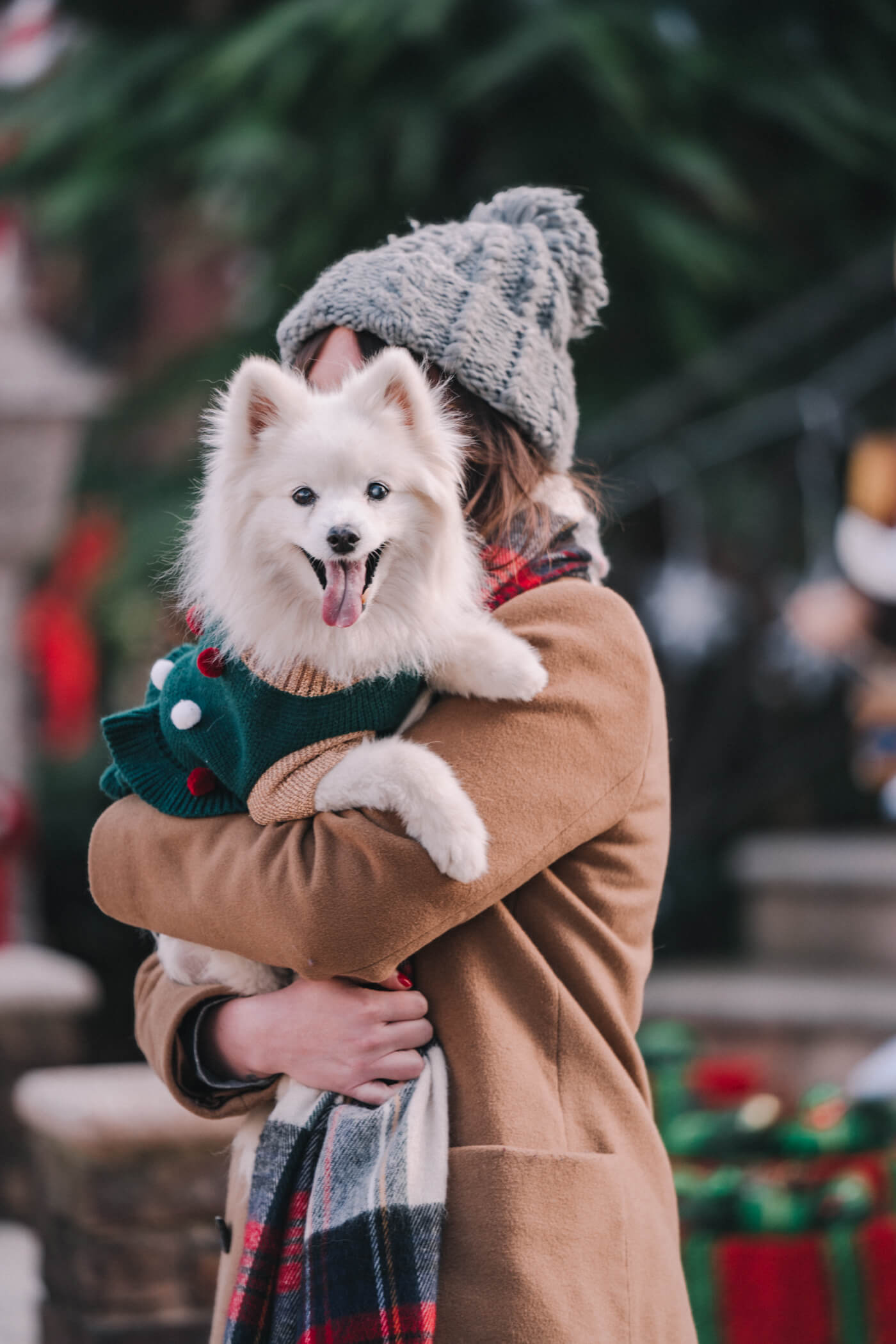 woman carrying her dog to see the Dyker Heights decorations