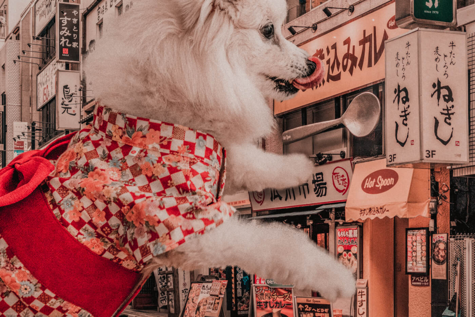 enlarged dog on the street for enlarged dog on the street for Weekend Link Roundup