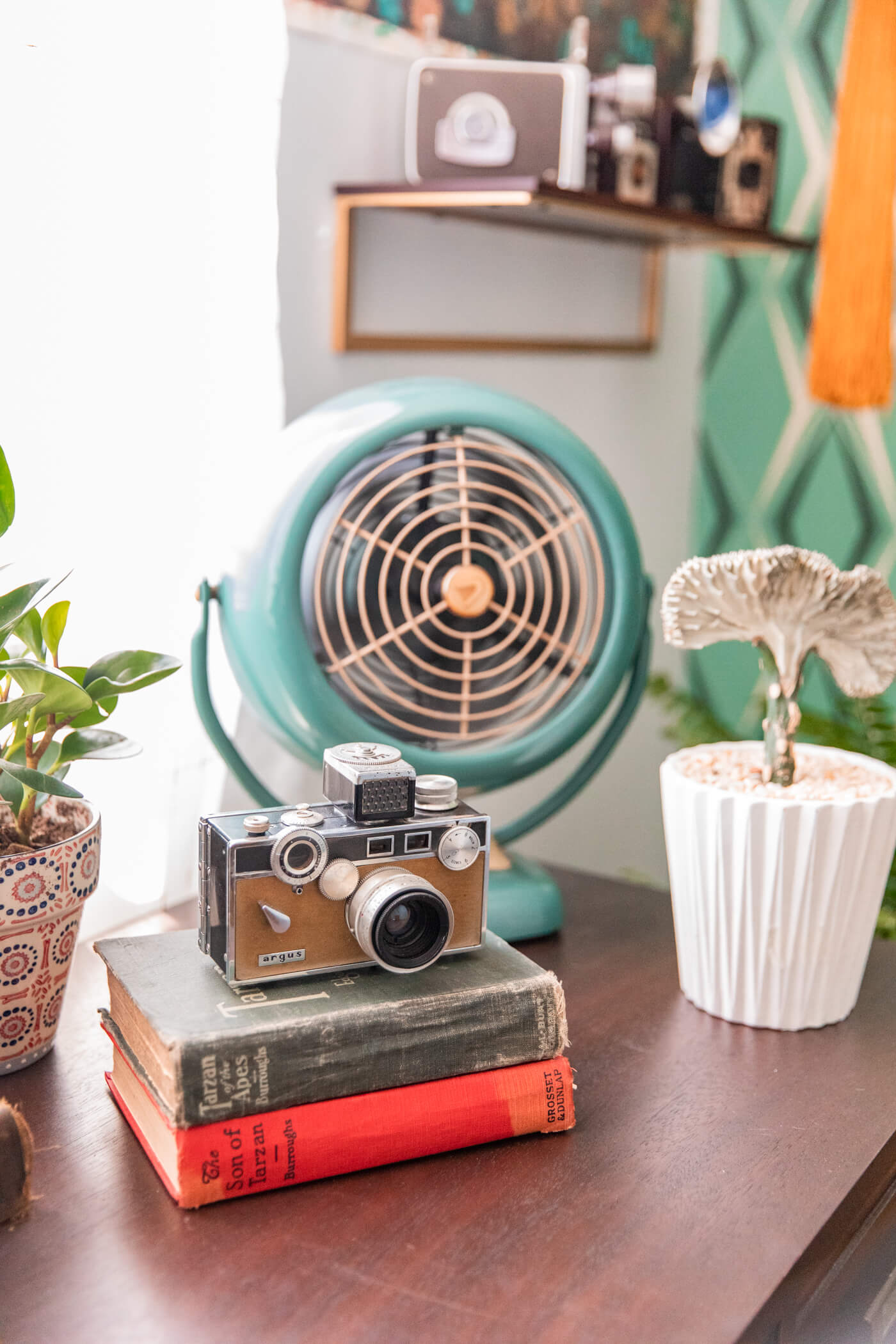 vintage camer and fan, books, and indoor plants for HomeGoods Home Office Makeover