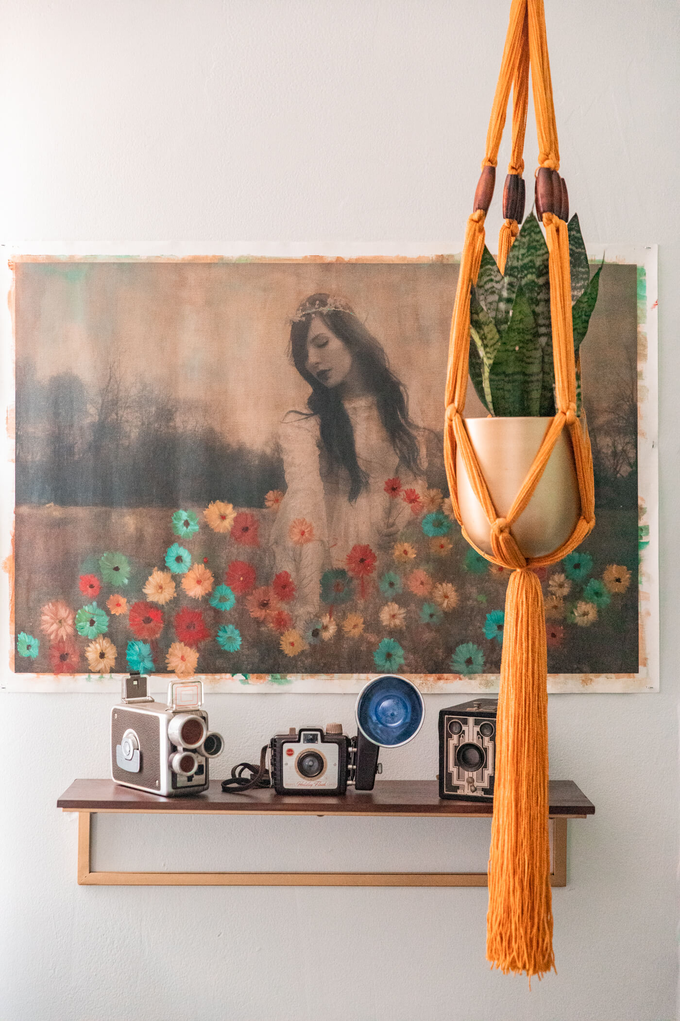 vintage cameras, photo of a woman and hanging plant for HomeGoods Home Office Makeover