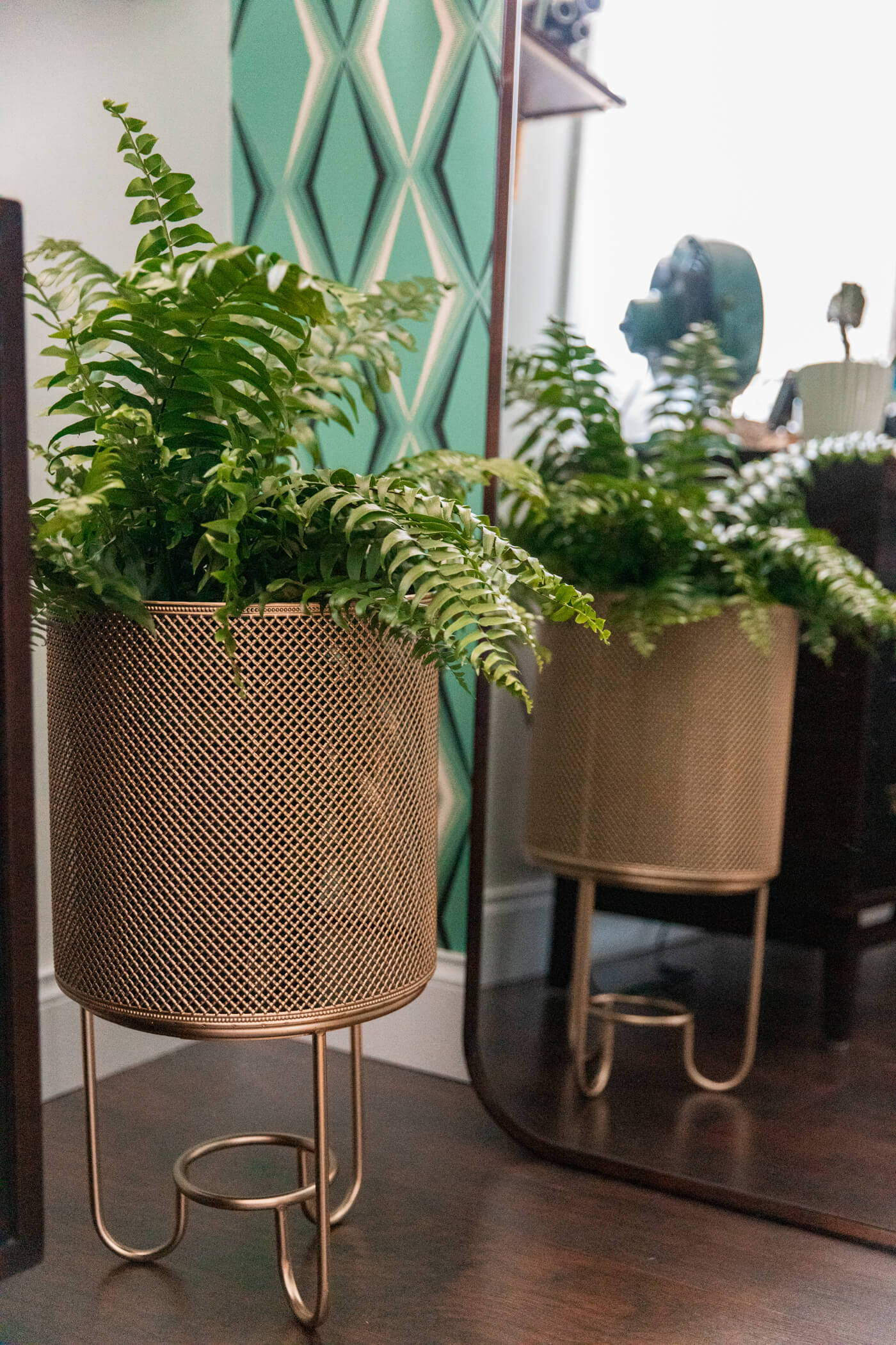fern in a gold plant holder and a large mirron
