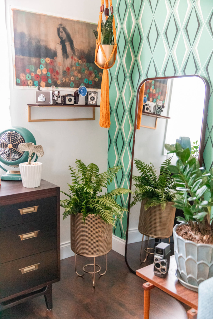 indoor plats, vintage fan and camera, mirror, and a painter wall