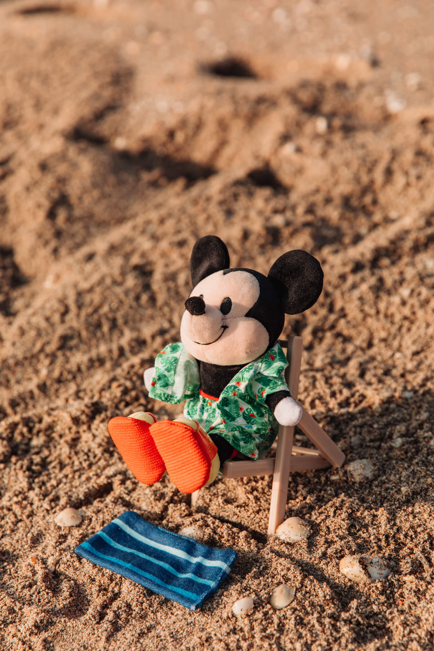 mickey mouse at the beach