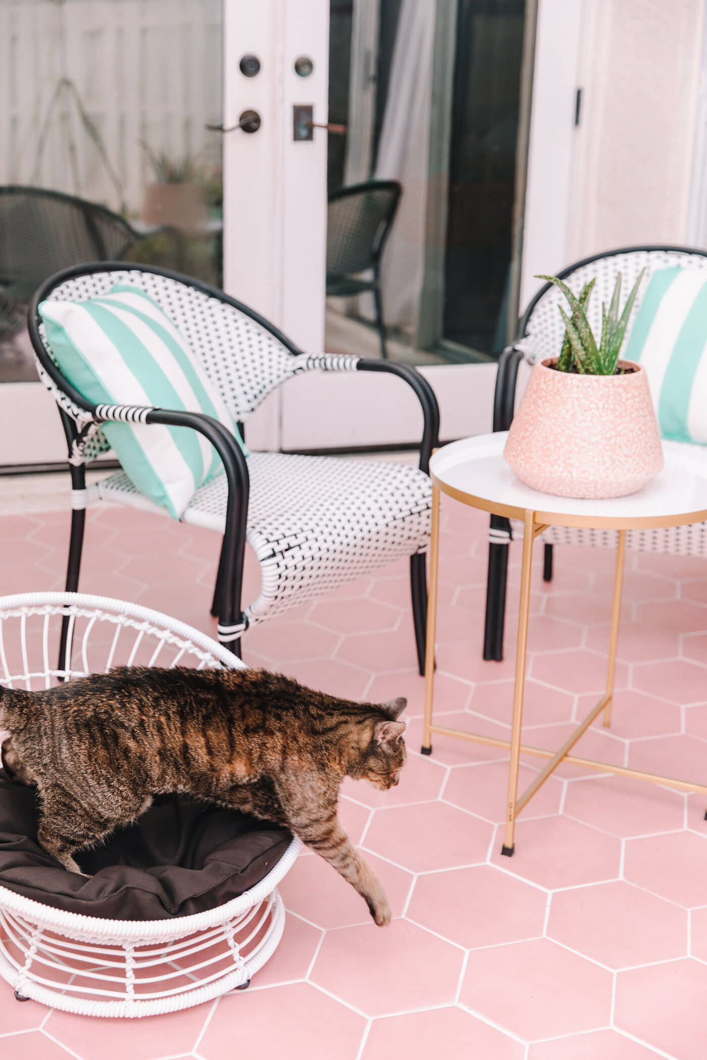 pastel furniture with cat on patio 