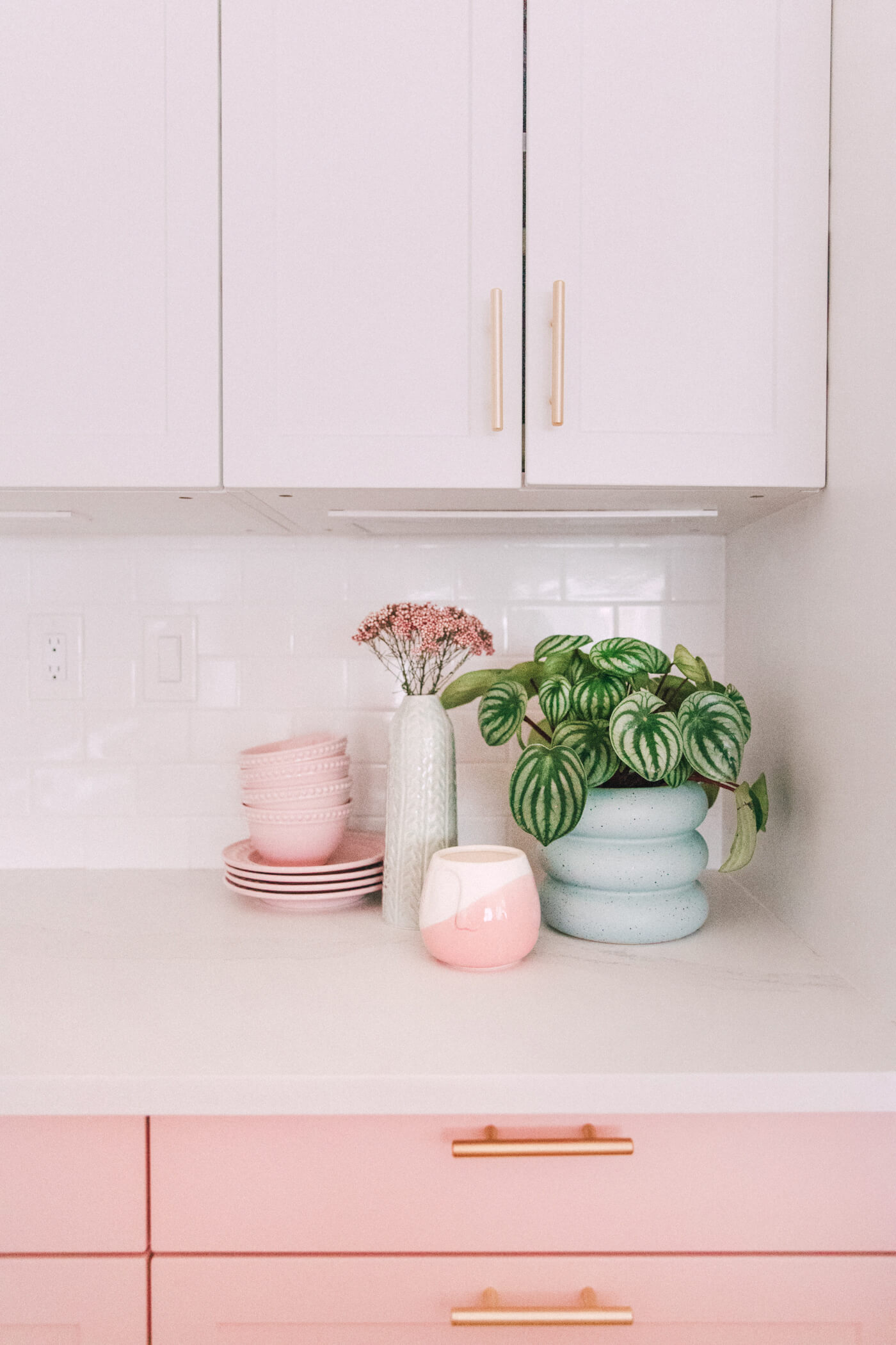 plant, plates and vases on countertop