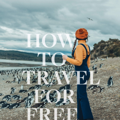 Travel for free to Ushuaia Argentina and see the penguins