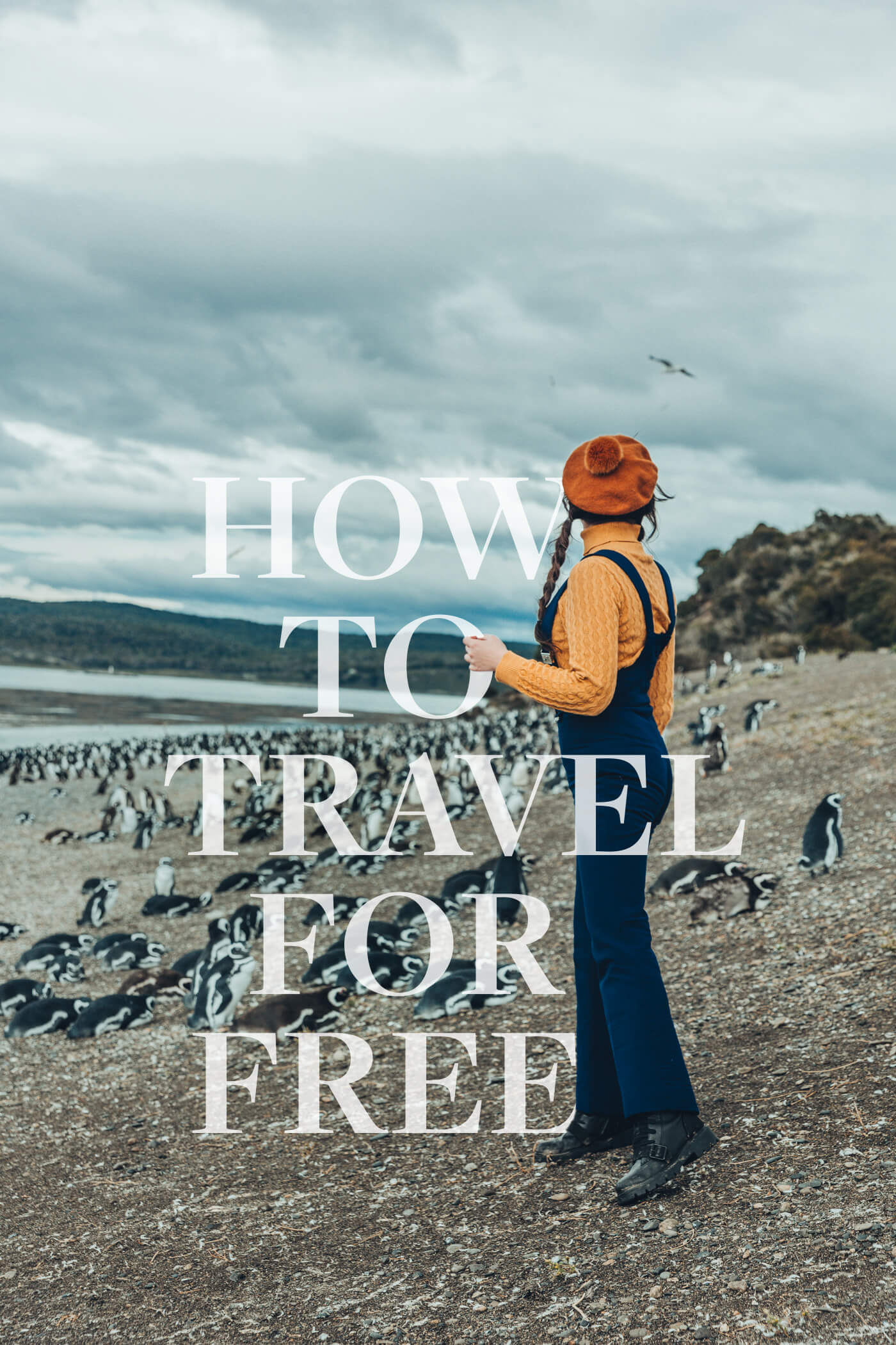 Travel for free to Ushuaia Argentina and see the penguins