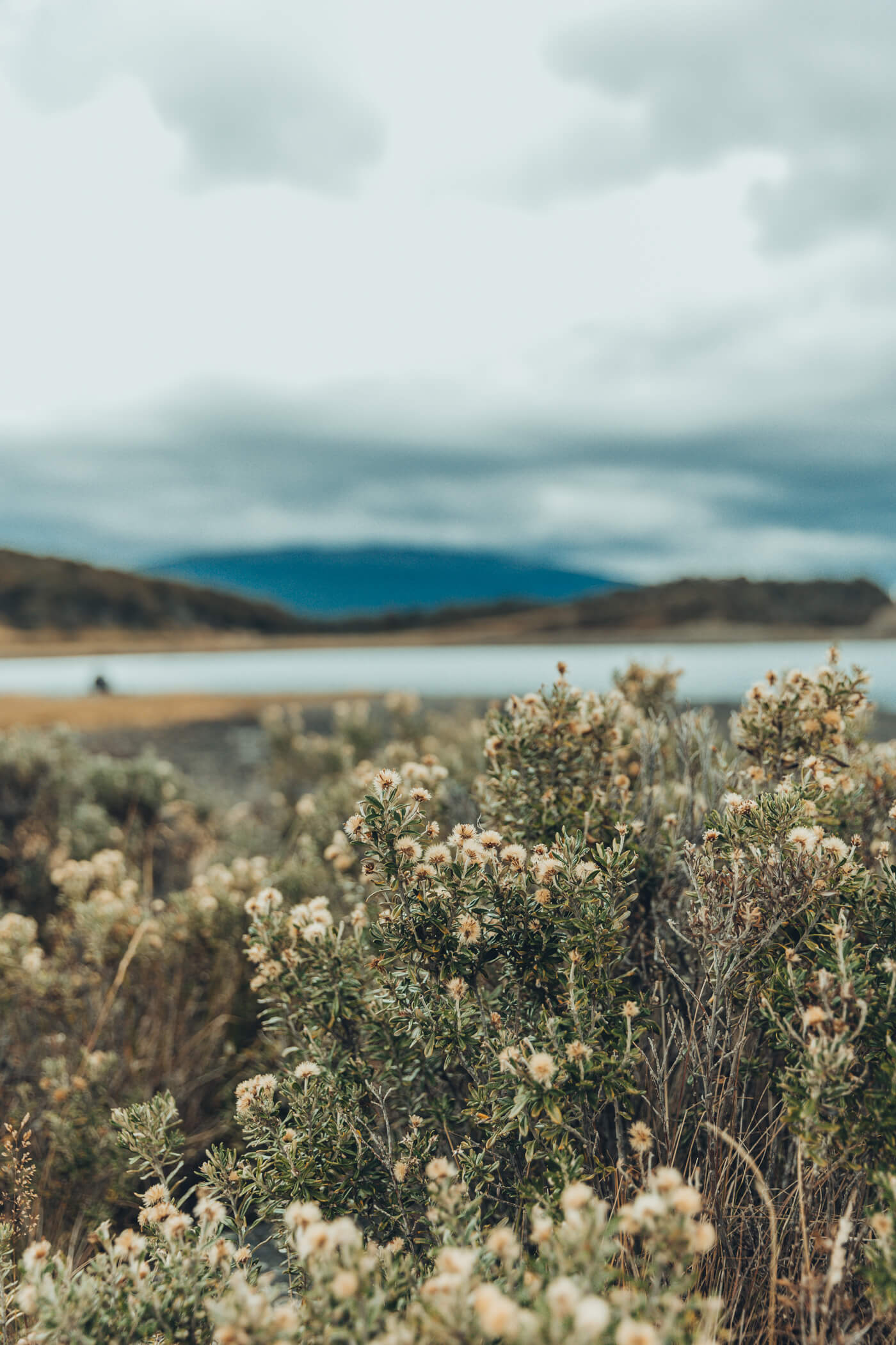 Estancia harberton ushuaia